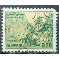 Алжир 1977г.