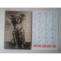 Карманный календарик. Собака.1979 год