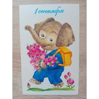 Галкина 1986 чистая