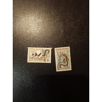 Лемуры. Мадагаскар. 1961