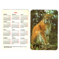 Календарь Рысь 1993
