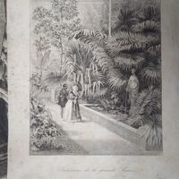 Гравюра 19 век Германия. 22х15см.