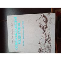 Освобождающая медитация | Нидал Лама Оле, Нидал Ханна