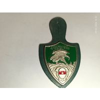 Знак альпийских горных стрелков