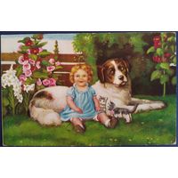 Девочка с сенбернаром и котятами. Flatscher Marie. Латвийское переиздание. 1930-е гг.