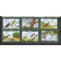 ФФ1 Куба 1976 Птицы