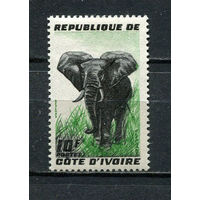 Автономная Республика Кот-д 'Ивуар - 1959 - Слон 10Fr - [Mi.204] - 1 марка. MNH.  (Лот 21HB)-T4P48