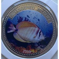 Палау 1 доллар 2009 г. Вымирающие виды. Zebrasoma veliferum. В холдере