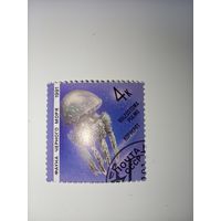 1991г. СССР. Фауна Чёрного моря
