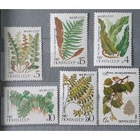 СССР флора 6шт 1987г