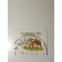 Австралия год 1981.  Тилацин (Thylacinus cynocephalus), вымерший хищный сумчатый зверь.