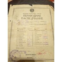 Документ БССР 1936г/2