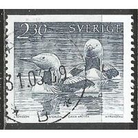 Швеция. Чернозобая гагра. 1986г. Mi#1378.