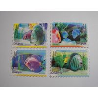 Марки РБ. Аквариумные рыбки. 4м.