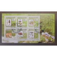 Гвинея. 2009 год. Флора. Грибы на марках (блок)