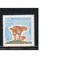 СССР-1964, (Заг.3040), ** , Грибы, Рыжик