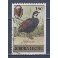 [2412] Сьерра Леоне 1981. Фауна.Птицы. Гашеная марка.
