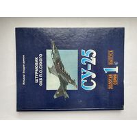 Штурмовик ОКБ П.О.Сухого СУ-25. Ильдар Бедретдинов.