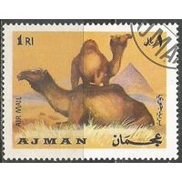 Аджман. Авиа. Верблюды. 1969г. St#552,