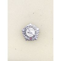 ГТО IV ступени. серебро