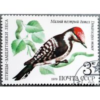 Марка СССР 1979 год Птицы