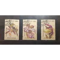 СССР. 1991 год. Флора. Цветы. Орхидеи (234)
