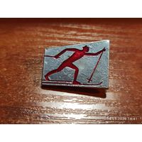 Знак значок Лыжный спорт