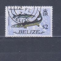 [2087] Белиз 1974. Фауна.Рыбы.2 $. Гашеная марка. Кат.гаш.3,6 е.