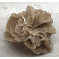 Минерал / кристалл Роза пустыни / Роза песков, Сев. Африка