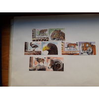 Марки Беларусь 2013 Звери