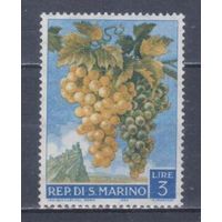 [2428] Сан-Марино 1958. Флора.Фрукты.Плоды.Виноград. MNH