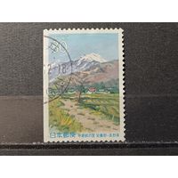 Япония, 2000. Весна в Адзумино. Живопись