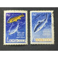 1962 СССР. Рыбы. Полная серия