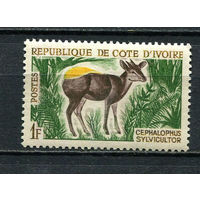 Кот-д 'Ивуар - 1964 - Фауна. Желтоспинный дукер 1F - [Mi.259] - 1 марка. MNH.  (Лот 22HB)-T4P48