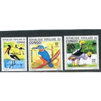 Конго. Фауна. Птицы