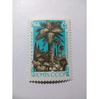 СССР 1966 СУХУМСКИЙ БОТАНИЧЕСКИЙ САД