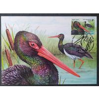 Беларусь 2026 КМ, птица года.