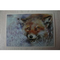 Исаков А., Лис; 1989, чистая.