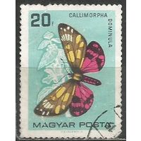 Венгрия. Бабочка Медведица. 1966г. Mi#2201.