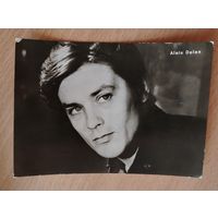 Ален Дилон фотооткрытка 1977   чистая