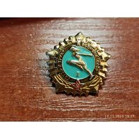 Знак значок Готов к Труду и Обороне СССР ГТО 1-я степень