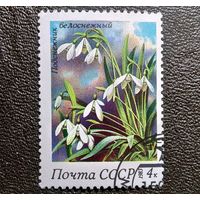 Марка СССР 1983 год Цветы
