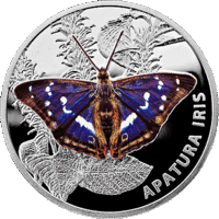 Переливница большая.Пераліўніца вялікая (Apatura iris). Серебро.  20 рублей ,