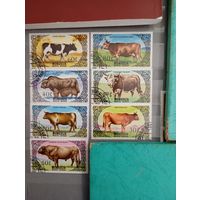 Фауна на почтовых марках