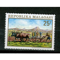 Малагасийская республика - 1972 - Крупный рогатый скот - [Mi. 665] - полная серия - 1 марка. MNH.  (Лот 32JF)-TG2P17