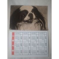 Карманный календарик. Собака.1979 год