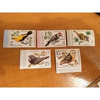 1979 СССР Загорский 4933-4937 чистая полная серия MNH** фауна птицы (c-12)