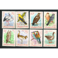 Венгрия - 1968 - Птицы - (следы от хранения на клее) - [Mi. 2398-2405] - полная серия - 8 марок. MNH.  (Лот 40JA)-TG3P53