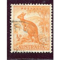 Австралия. Стандарт. Большой рыжий кенгуру