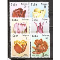 ФФ1 Куба 1982 Цветы